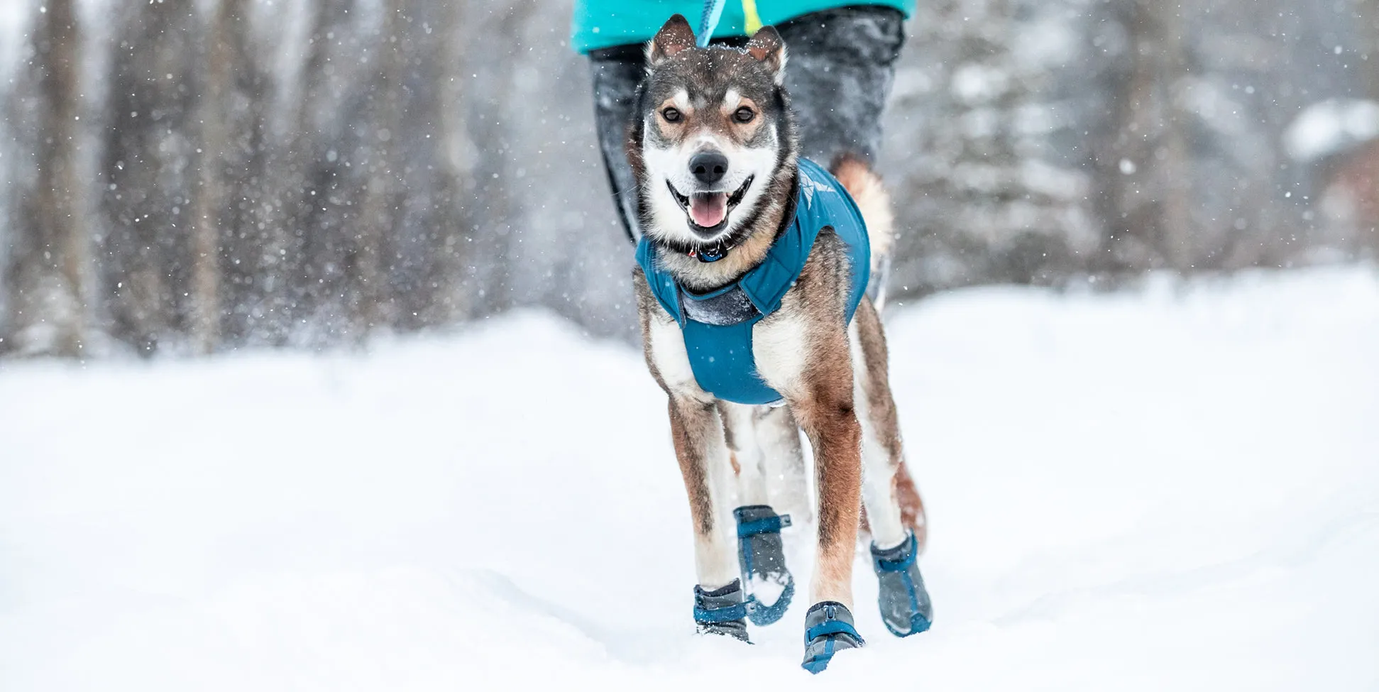 RC Pets Dog Arctic Boot - Grey/Arctic Blue CLEARANCE FINAL SALE