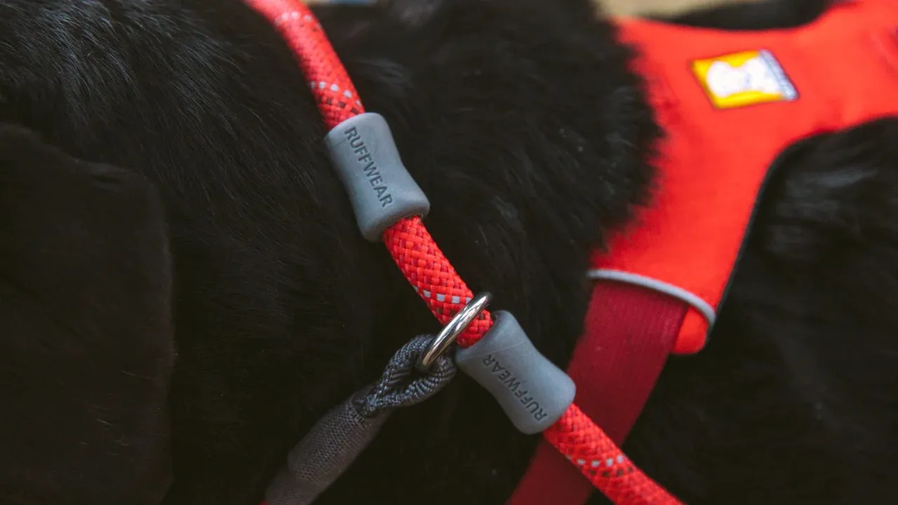 Ruffwear Dog Leash, Just-a-Cinch